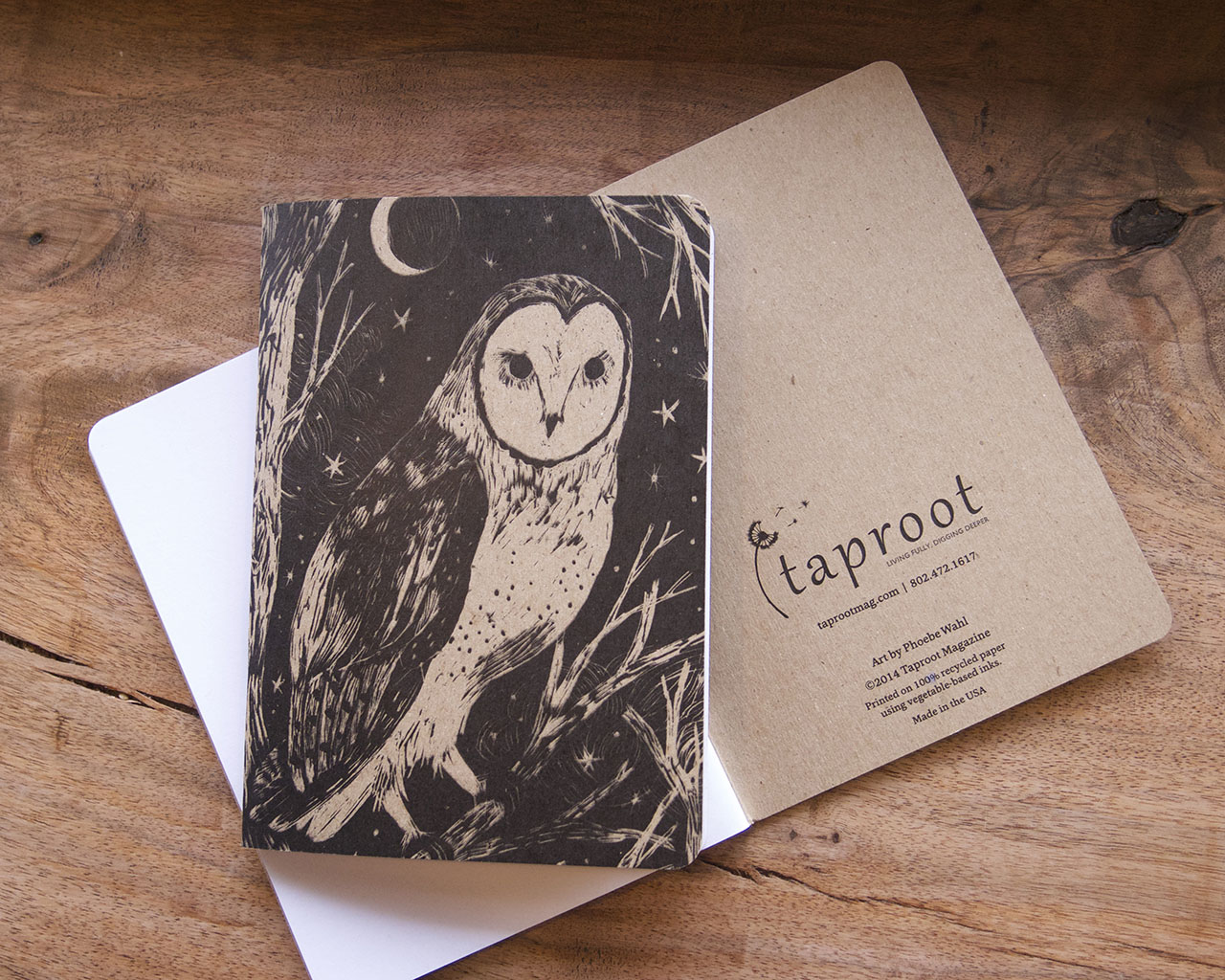Taproot Scout Books