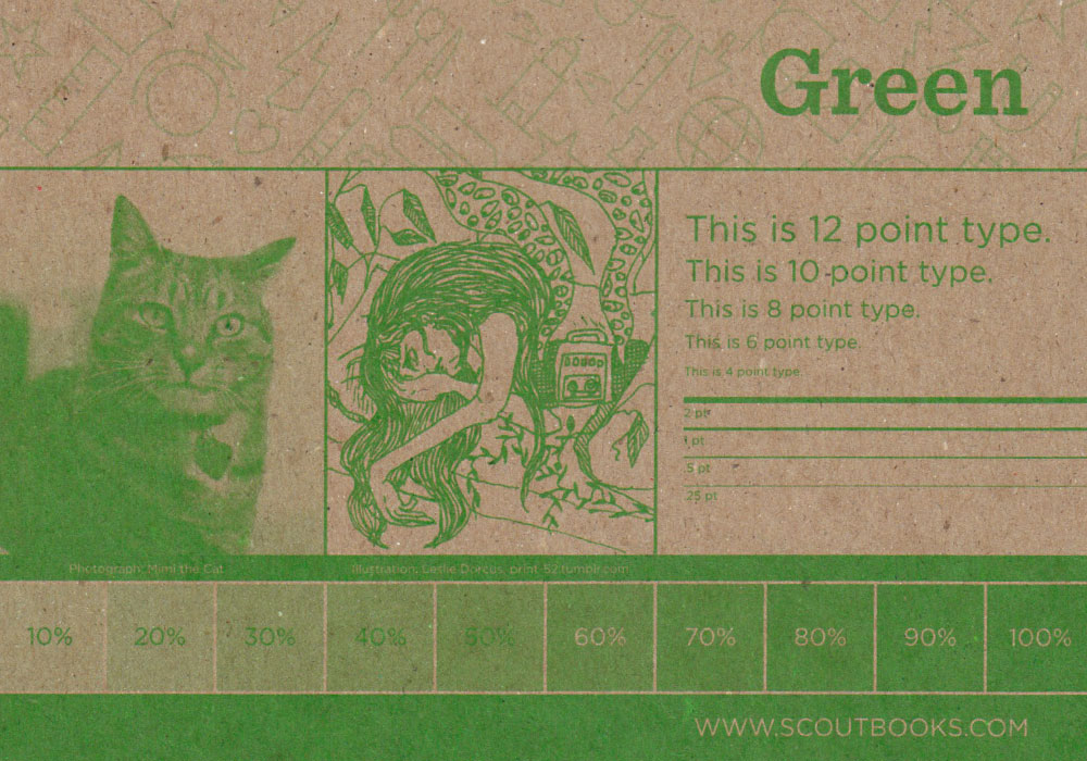 Scout Books Ink Guide Green