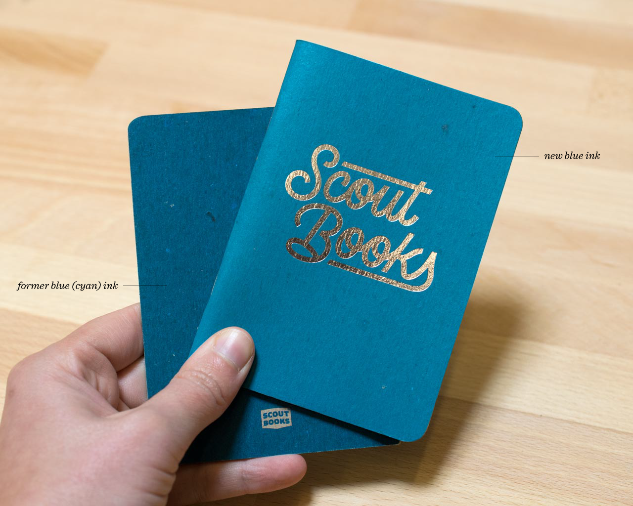 New Scout Books Blue Ink