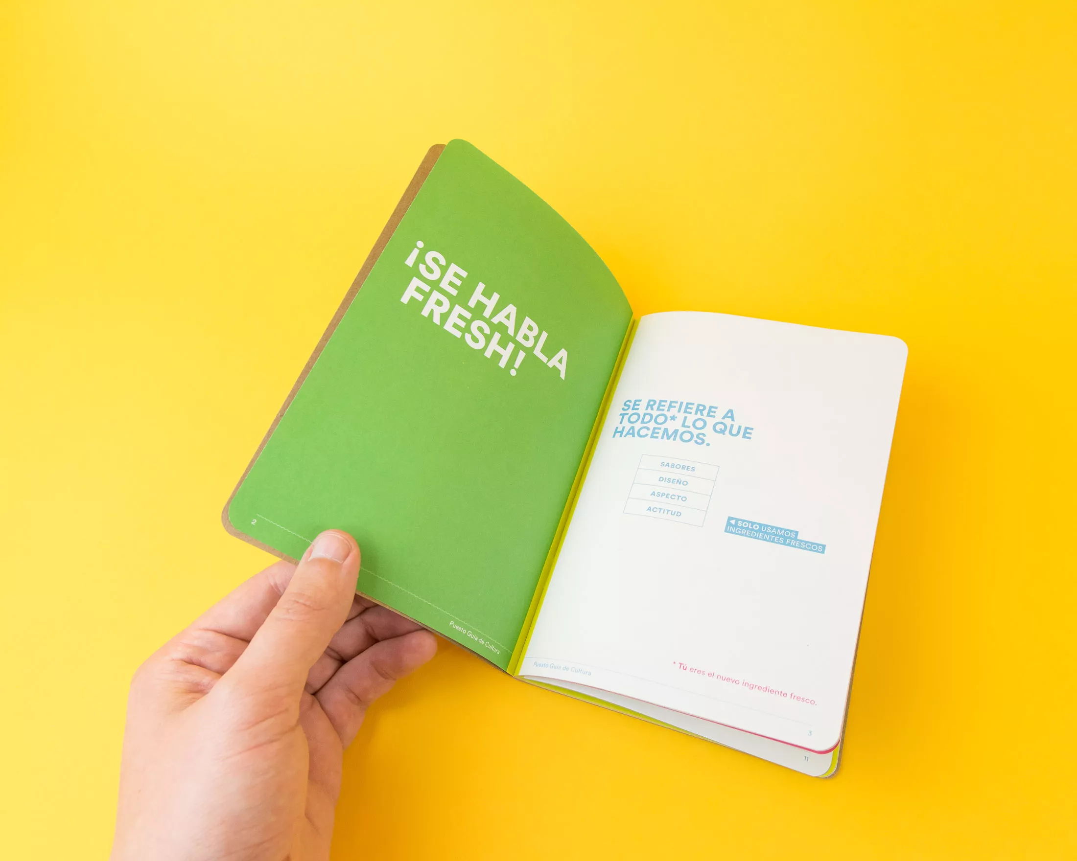 Puesto Culture Guides - Scout Books