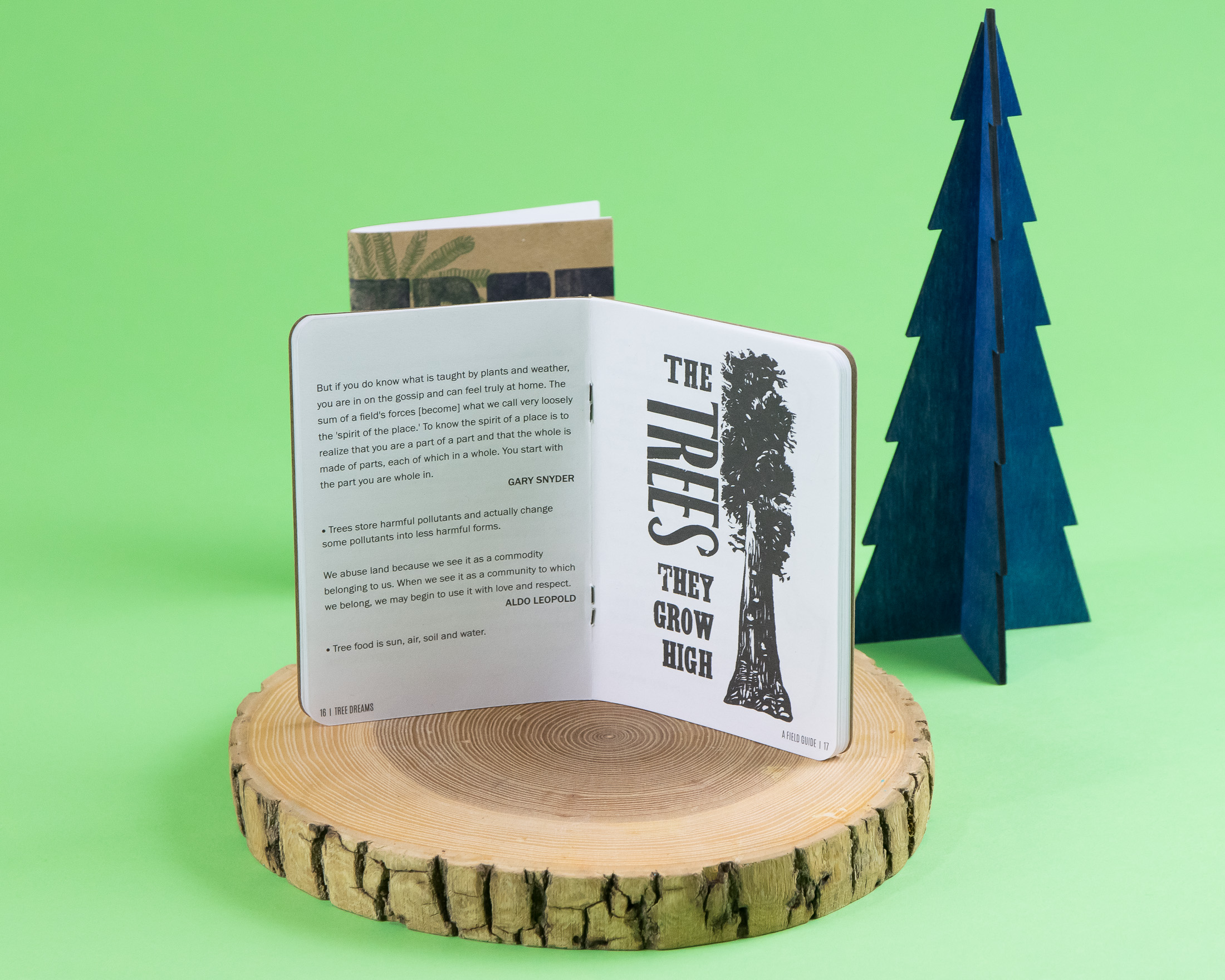Tree Dreams Field Guide - Scout Books