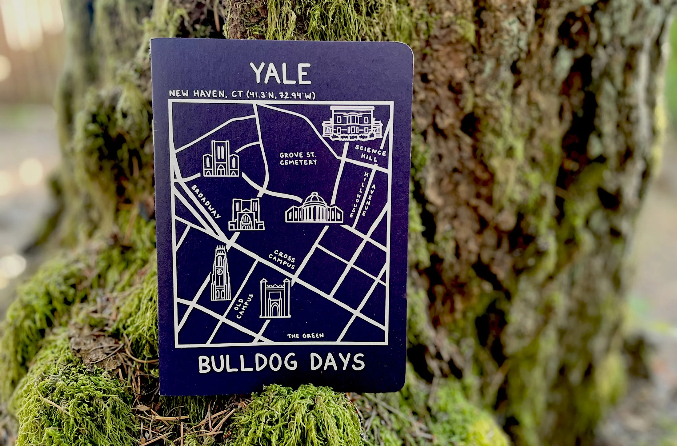 Mega Scout Book for Yale University